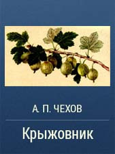 Чехов Антон - Беглец 🎶 Слушать аудиокниги онлайн 🎶 полностью бесплатно без регистрации | 🔊 Аудиокниги 🔊 audio-knigi-online.com