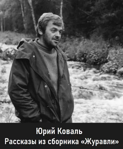 Юрий Коваль - Рассказы из сборника «Журавли» 🎶 Слушать аудиокниги онлайн 🎶 полностью бесплатно без регистрации | 🔊 Аудиокниги 🔊 audio-knigi-online.com