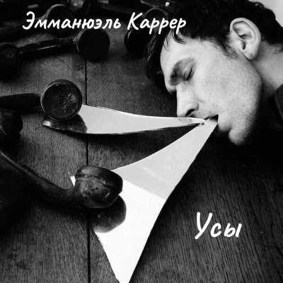 Каррер Эммануэль – Усы - 🎶 Слушать аудиокниги онлайн 🎶 полностью бесплатно без регистрации | 🔊 Аудиокниги 🔊 audio-knigi-online.com