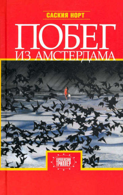 Норт Саския – Побег из Амстердама 🎶 Слушать аудиокниги онлайн 🎶 полностью бесплатно без регистрации | 🔊 Аудиокниги 🔊 audio-knigi-online.com