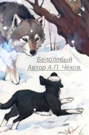 Чехов Антон – Белолобый 🎶 Слушать аудиокниги онлайн 🎶 полностью бесплатно без регистрации | 🔊 Аудиокниги 🔊 audio-knigi-online.com