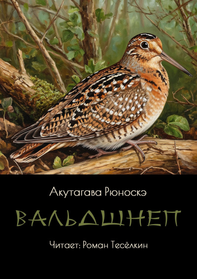 Акутагава Рюноскэ – Вальдшнеп - 🎶 Слушать аудиокниги онлайн 🎶 полностью бесплатно без регистрации | 🔊 Аудиокниги 🔊 audio-knigi-online.com