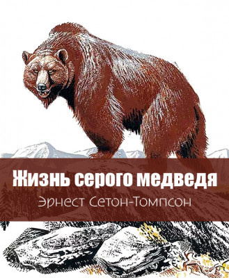 Сетон-Томпсон Эрнест – Жизнь серого медведя 🎶 Слушать аудиокниги онлайн 🎶 полностью бесплатно без регистрации | 🔊 Аудиокниги 🔊 audio-knigi-online.com