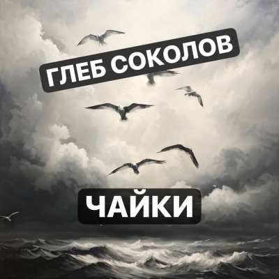 Соколов Глеб – Чайки. Часть 2 🎶 Слушать аудиокниги онлайн 🎶 полностью бесплатно без регистрации | 🔊 Аудиокниги 🔊 audio-knigi-online.com