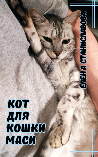 Станиславова Елена – Кот для кошки Маси 🎶 Слушать аудиокниги онлайн 🎶 полностью бесплатно без регистрации | 🔊 Аудиокниги 🔊 audio-knigi-online.com