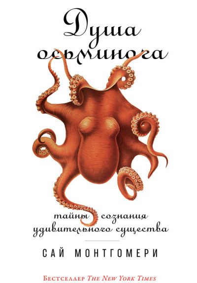 Монтгомери Сай – Душа осьминога: Тайны сознания удивительного существа - 🎶 Слушать аудиокниги онлайн 🎶 полностью бесплатно без регистрации | 🔊 Аудиокниги 🔊 audio-knigi-online.com