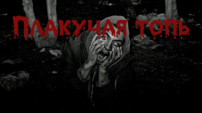 Собиратель тайн – Плакучая Топь - 🎶 Слушать аудиокниги онлайн 🎶 полностью бесплатно без регистрации | 🔊 Аудиокниги 🔊 audio-knigi-online.com