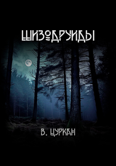 Цуркан Валерий – Шизодруиды - 🎶 Слушать аудиокниги онлайн 🎶 полностью бесплатно без регистрации | 🔊 Аудиокниги 🔊 audio-knigi-online.com