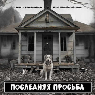 Богословский Сергей – Последняя просьба - 🎶 Слушать аудиокниги онлайн 🎶 полностью бесплатно без регистрации | 🔊 Аудиокниги 🔊 audio-knigi-online.com
