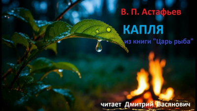 Астафьев Виктор – Капля - 🎶 Слушать аудиокниги онлайн 🎶 полностью бесплатно без регистрации | 🔊 Аудиокниги 🔊 audio-knigi-online.com