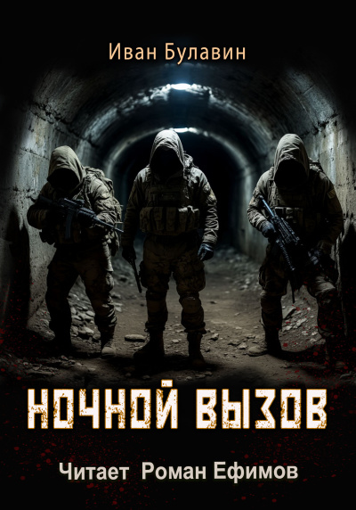 Булавин Иван – Ночной вызов 🎶 Слушать аудиокниги онлайн 🎶 полностью бесплатно без регистрации | 🔊 Аудиокниги 🔊 audio-knigi-online.com