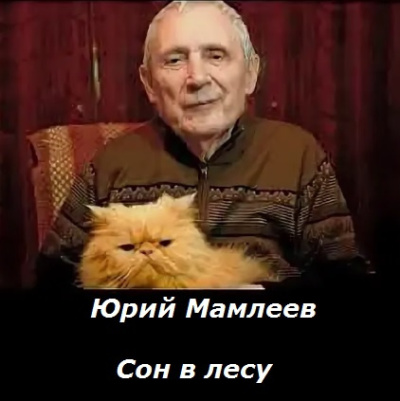 Мамлеев Юрий – Сон в лесу 🎶 Слушать аудиокниги онлайн 🎶 полностью бесплатно без регистрации | 🔊 Аудиокниги 🔊 audio-knigi-online.com