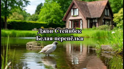 Стейнбек Джон – Белая перепёлка 🎶 Слушать аудиокниги онлайн 🎶 полностью бесплатно без регистрации | 🔊 Аудиокниги 🔊 audio-knigi-online.com