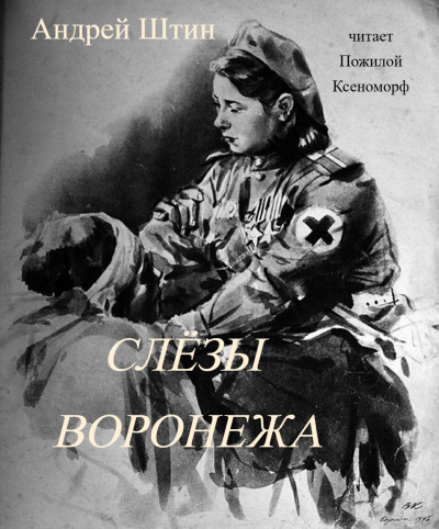 Андрей Штин – Слёзы Воронежа - 🎶 Слушать аудиокниги онлайн 🎶 полностью бесплатно без регистрации | 🔊 Аудиокниги 🔊 audio-knigi-online.com