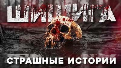 Лихачёва Юлия – Шишига - 🎶 Слушать аудиокниги онлайн 🎶 полностью бесплатно без регистрации | 🔊 Аудиокниги 🔊 audio-knigi-online.com