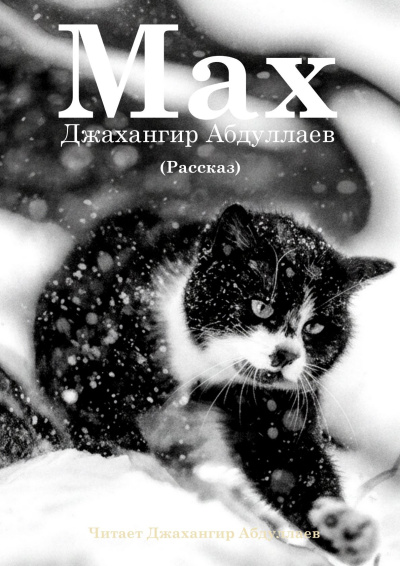 Абдуллаев Джахангир – Макс - 🎶 Слушать аудиокниги онлайн 🎶 полностью бесплатно без регистрации | 🔊 Аудиокниги 🔊 audio-knigi-online.com