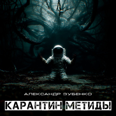 Александр Зубенко – Карантин Метиды 🎶 Слушать аудиокниги онлайн 🎶 полностью бесплатно без регистрации | 🔊 Аудиокниги 🔊 audio-knigi-online.com
