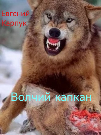 Карпук Евгений – Волчий капкан - 🎶 Слушать аудиокниги онлайн 🎶 полностью бесплатно без регистрации | 🔊 Аудиокниги 🔊 audio-knigi-online.com