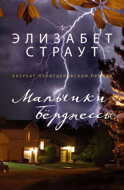 Страут Элизабет – Мальчики Берджессы - 🎶 Слушать аудиокниги онлайн 🎶 полностью бесплатно без регистрации | 🔊 Аудиокниги 🔊 audio-knigi-online.com