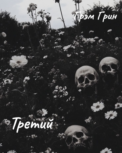 Грин Грэм – Третий 🎶 Слушать аудиокниги онлайн 🎶 полностью бесплатно без регистрации | 🔊 Аудиокниги 🔊 audio-knigi-online.com