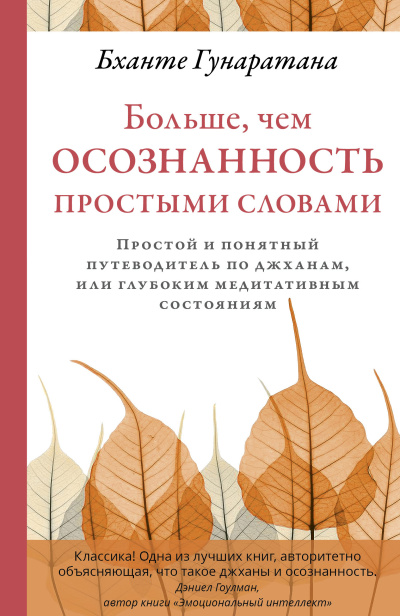 Гунаратана Бханте Хенепола – Больше, чем осознанность простыми словами. Простой и понятный путеводитель по джханам, или глубоким медитативным состояниям - 🎶 Слушать аудиокниги онлайн 🎶 полностью бесплатно без регистрации | 🔊 Аудиокниги 🔊 audio-knigi-online.com