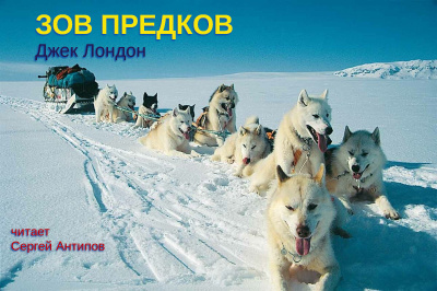 Лондон Джек - Зов предков - 🎶 Слушать аудиокниги онлайн 🎶 полностью бесплатно без регистрации | 🔊 Аудиокниги 🔊 audio-knigi-online.com