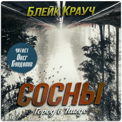 Крауч Блейк - Город в Нигде 🎶 Слушать аудиокниги онлайн 🎶 полностью бесплатно без регистрации | 🔊 Аудиокниги 🔊 audio-knigi-online.com