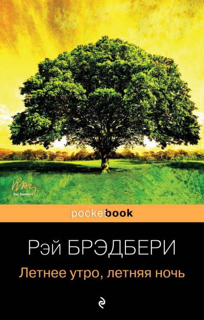 Брэдбери Рэй - Летнее утро, летняя ночь - 🎶 Слушать аудиокниги онлайн 🎶 полностью бесплатно без регистрации | 🔊 Аудиокниги 🔊 audio-knigi-online.com