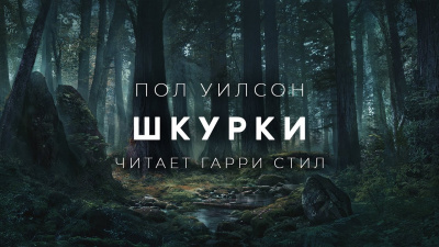 Уилсон Пол - Шкурки - 🎶 Слушать аудиокниги онлайн 🎶 полностью бесплатно без регистрации | 🔊 Аудиокниги 🔊 audio-knigi-online.com